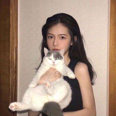 桃花劫变态版下载